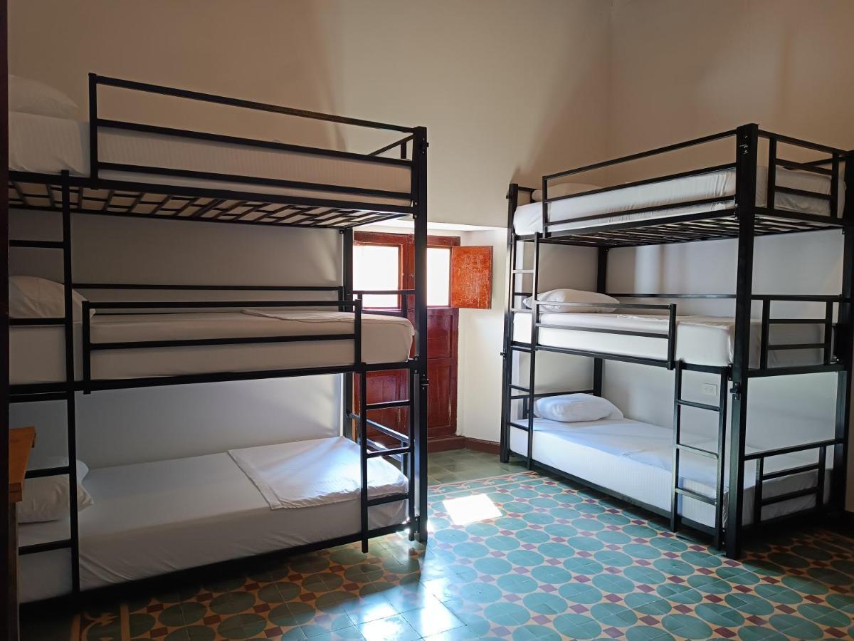 The Best Adventure Hostel 산힐 외부 사진