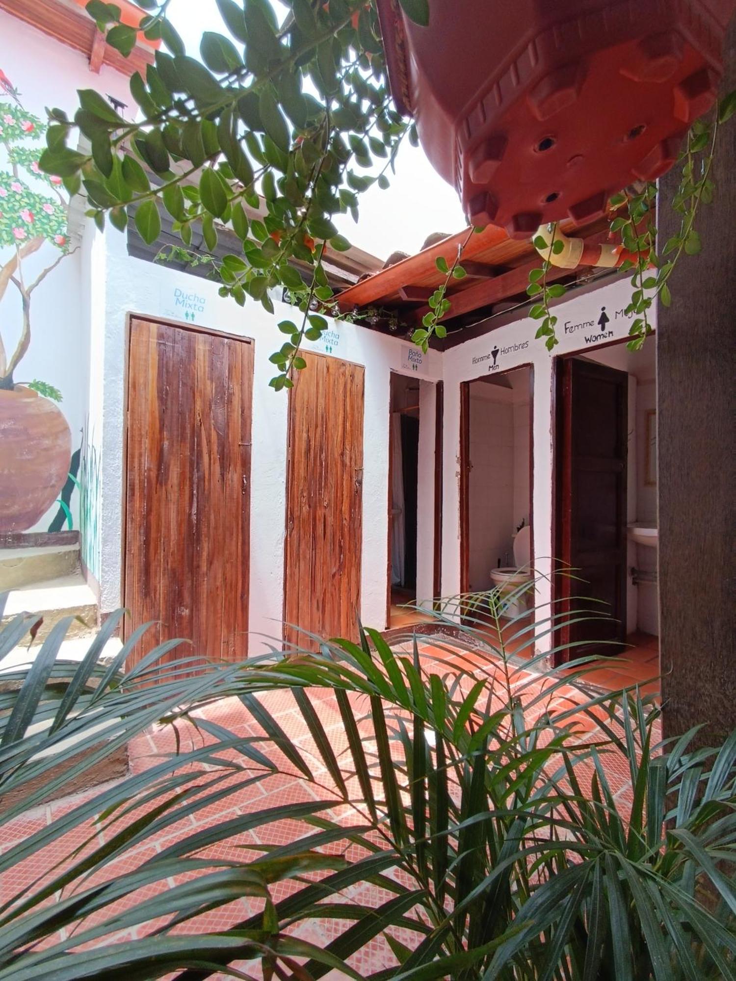 The Best Adventure Hostel 산힐 외부 사진