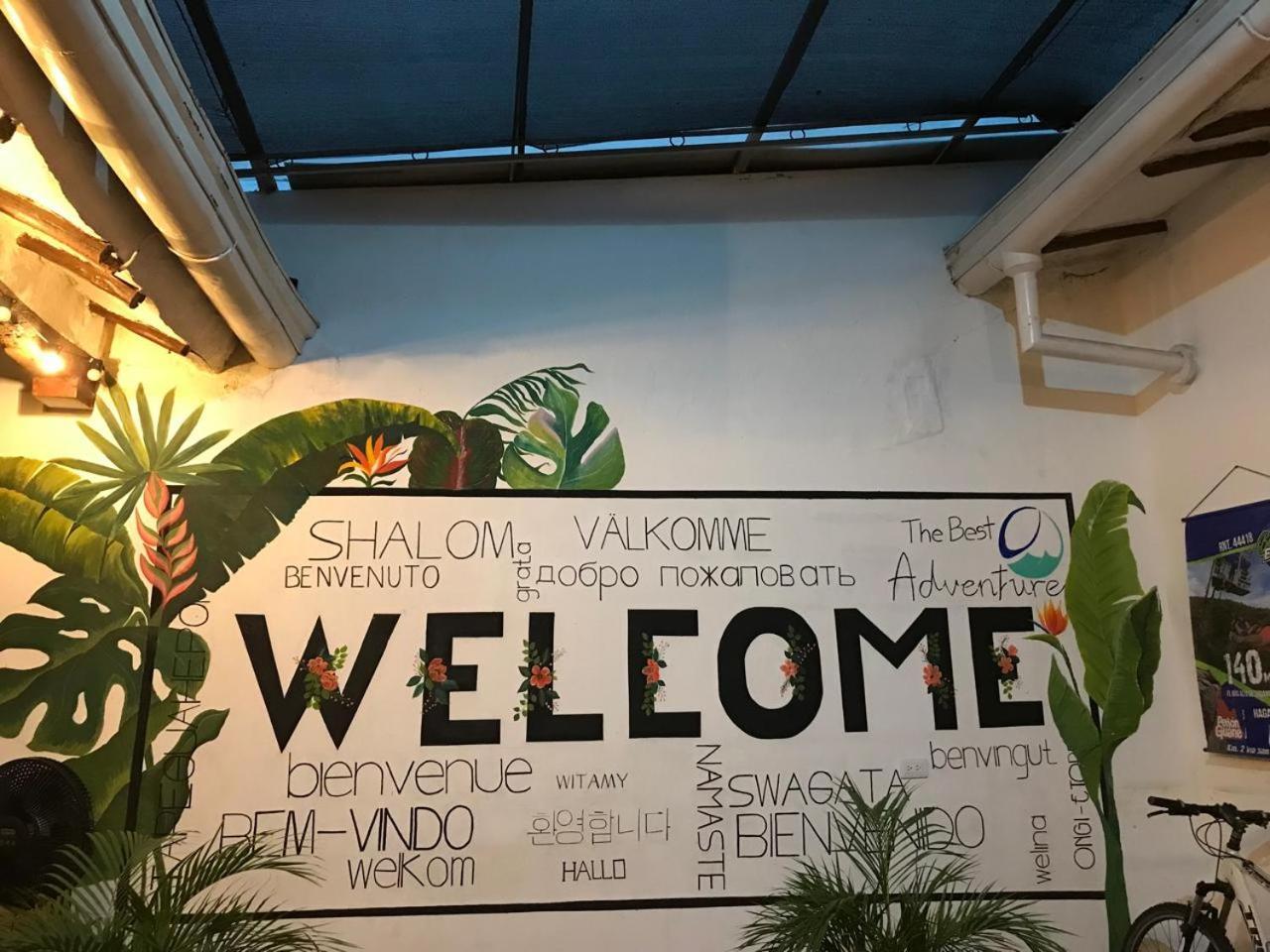 The Best Adventure Hostel 산힐 외부 사진