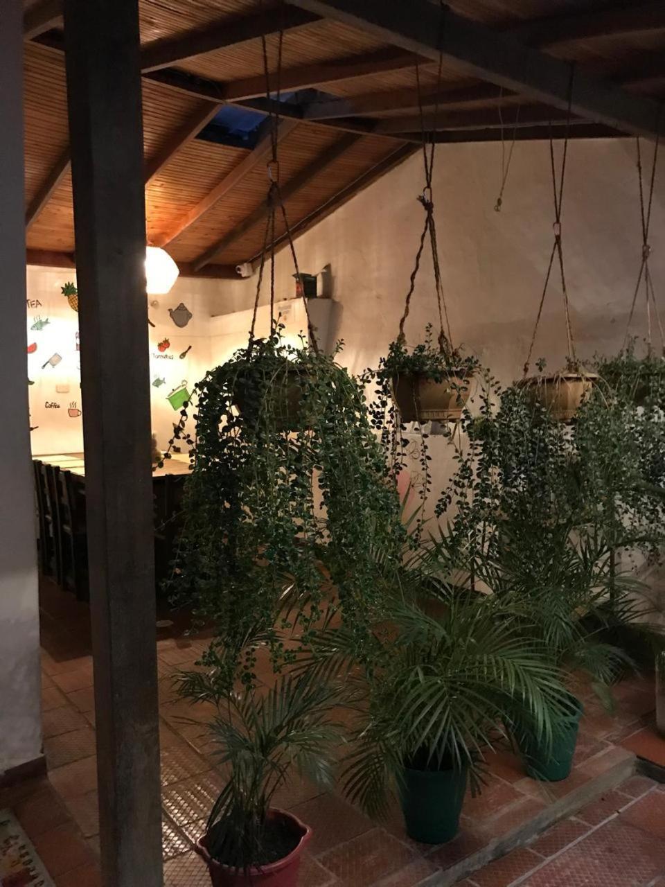 The Best Adventure Hostel 산힐 외부 사진