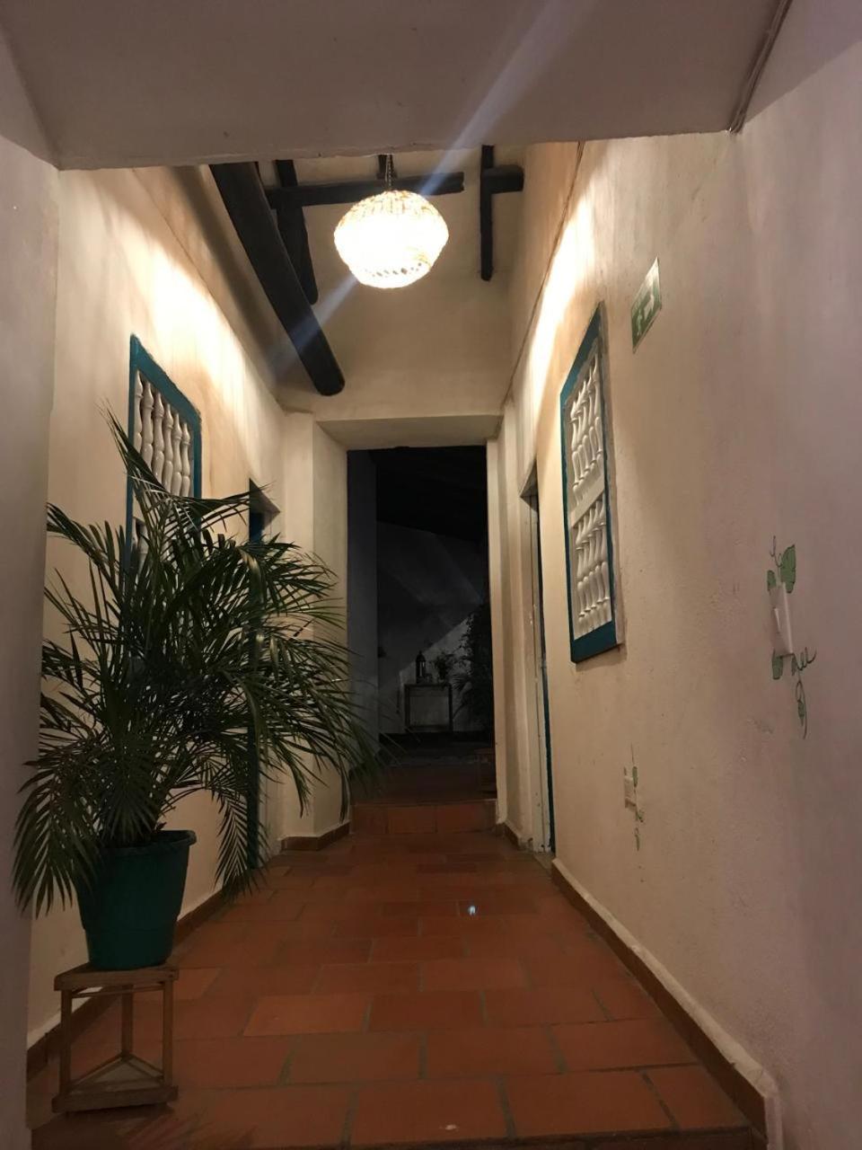The Best Adventure Hostel 산힐 외부 사진