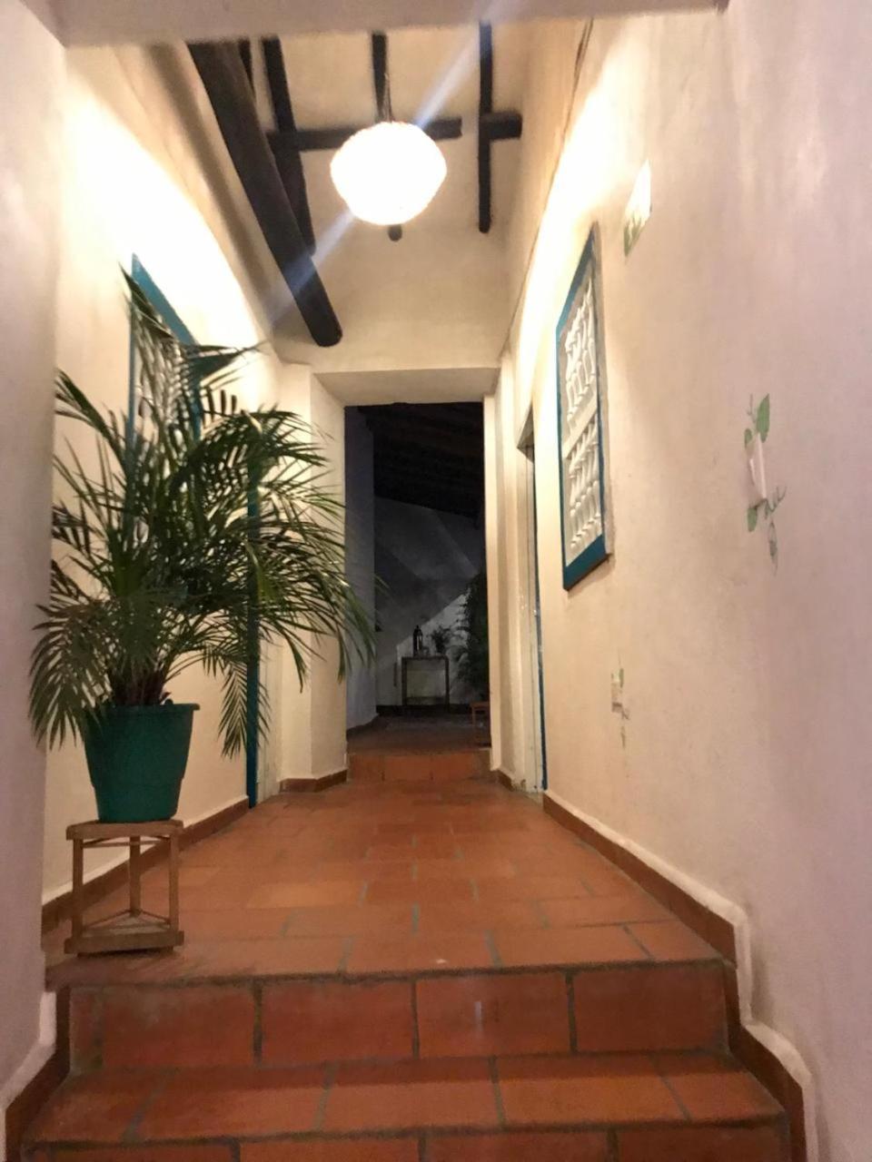 The Best Adventure Hostel 산힐 외부 사진